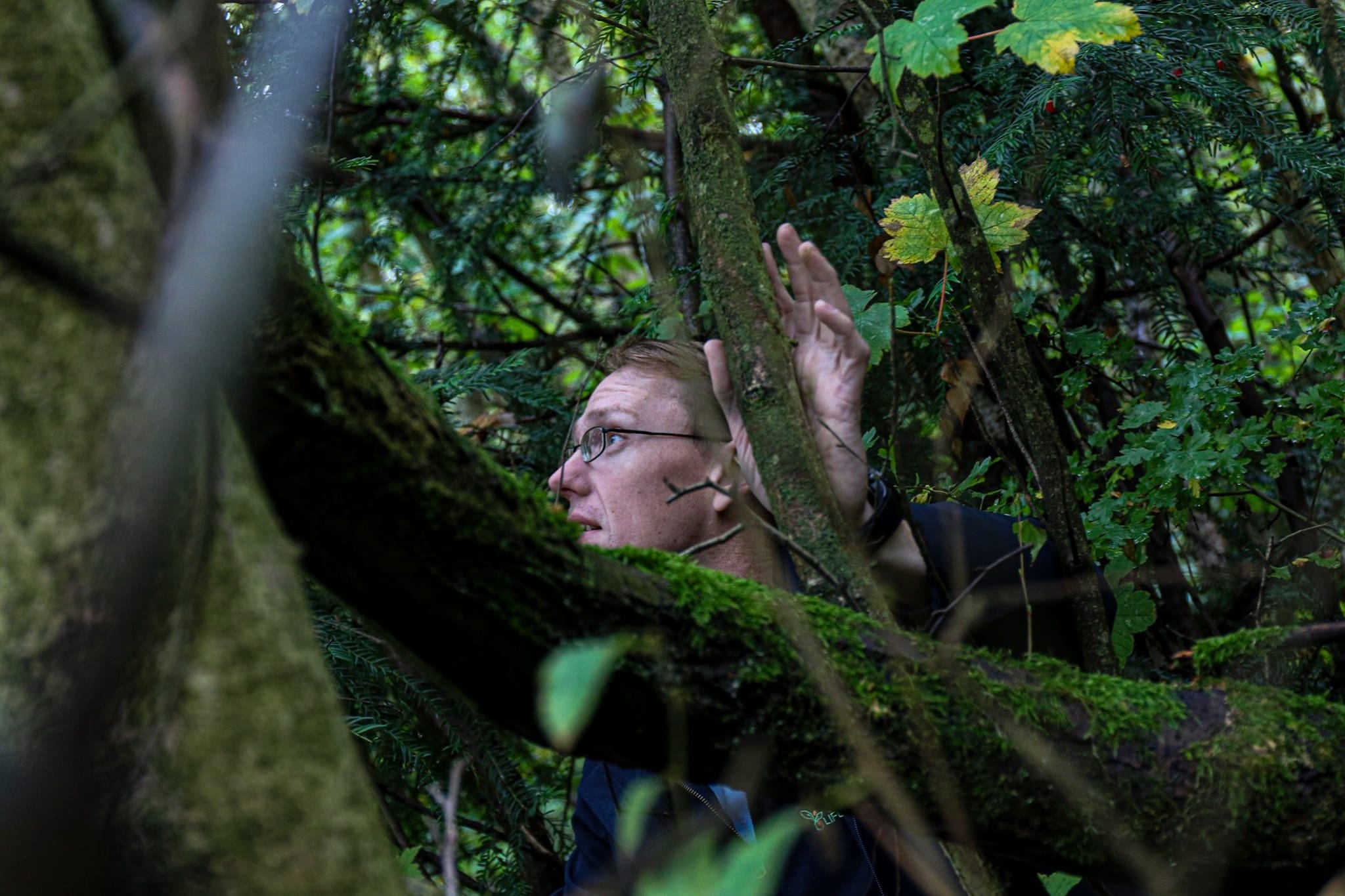 Weight Loss Coaching In Kent David Breaker Inspiration